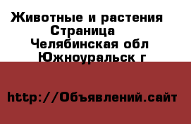  Животные и растения - Страница 2 . Челябинская обл.,Южноуральск г.